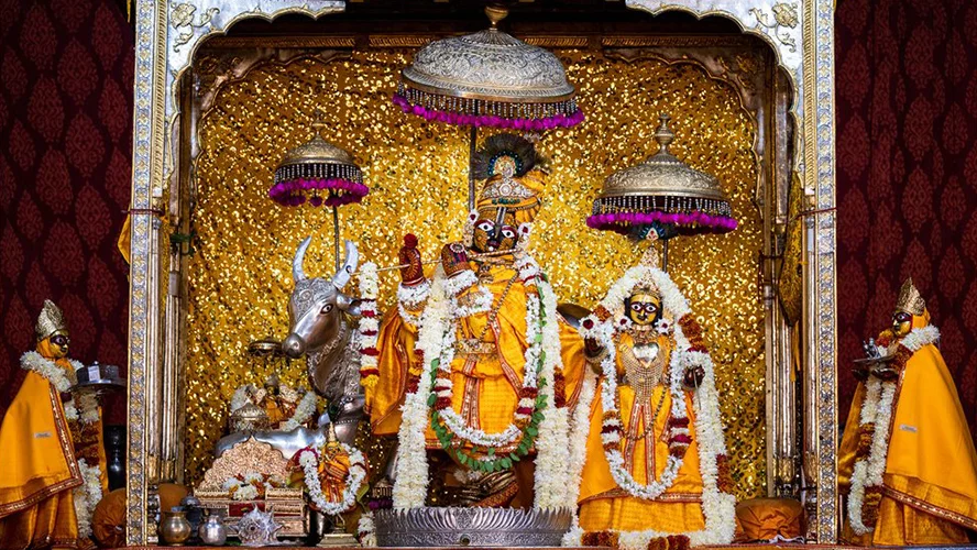 Jaipur Cycle Tour • Jodhpur