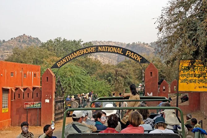 Bundi to Ranthambore • Safari Experience