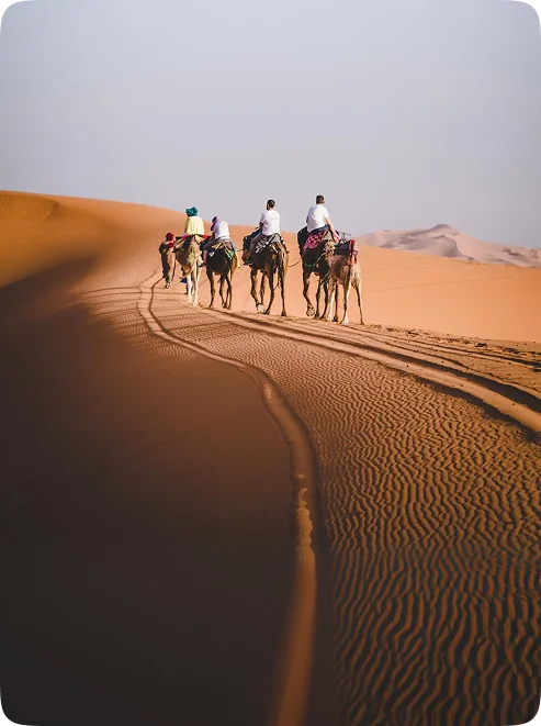 The Royal Triangle & Desert Kingdoms